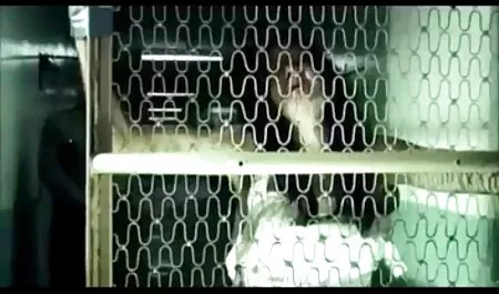 Нерухомість, яка не просто обслуговує еротика відео онлайн задоволених клієнтів