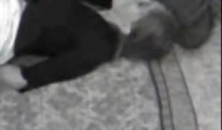 Вона дала йому покривала і тримала його за еротика порно онлайн руки у ванній